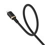 Câble USB vers Lightning Baseus P10377801U01-02 Noir Or 2 m