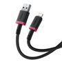 Câble USB vers Lightning Baseus P10377801U01-03 Noir Rouge 2 m
