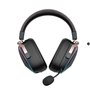 Casques avec Micro Gaming Havit H2039BG