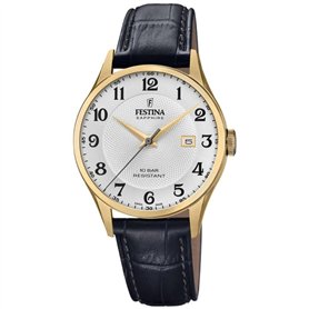 Festina Casual Watch F20010/1