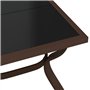 Bussandri Exclusive Table de jardin en acier et verre Marron et noir 140 x 70 x 70 cm