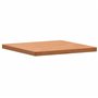 Plateau de Table de Remplacement