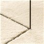 vidaXL Tapis à Poils Courts Doux et Lavable, Moquette de Sol, Tapis de Zone, Carpette de Salon Salle de Séjour Chambre, Moderne,