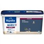 Déco murs boiseries & radiateurs bleu de béring velours - RIPOLIN - 2