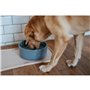 Mangeoire pour chiens Hunter OSBY Bleu Céramique 1,1 L