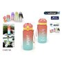 Bouteille d'eau Bewinner Multicouleur 600 ml 7,4 x 7,4 x 19 cm (12 Unités)