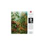 Puzzle Cenega Publishing Imagination: Ernst Haeckel Muscinae 1000 Pièces
