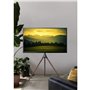 Support TV au sol Techly 105209 65" 32 kg