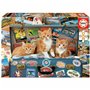 Puzzle Educa 18065 200 Pièces