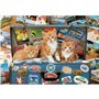 Puzzle Educa 18065 200 Pièces