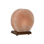 Lampe de bureau Home ESPRIT Marron Rose 15 W 220 V
