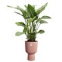 Pot de fleur - Elho - Vibes Fold Coupe - Rose - L 30 x B 29.5 x H 45 cm - Intérieur - 100% recyclé