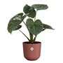 Pot de fleur - Elho - Jazz Rond - Rouge - L 30 x B 29.5 x H 27 cm - Intérieur - 100% recyclé