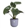 Pot de fleur - Elho - Jazz Rond - Violet - L 30 x B 29.5 x H 27 cm - Intérieur - 100% recyclé