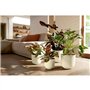 Pot de fleur - Elho - Jazz Rond - Blanc - L 35 x B 34.5 x H 32 cm - Intérieur - 100% recyclé