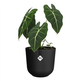 Pot de fleur - Elho - Jazz Rond - Noir - Ø 26 x H 24 cm - Intérieur - 100% recyclé