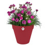 Pot de fleur - Elho - Loft Urban Rond - Roues 40 - Rouge - L 39 x B 38.5 x H 35 cm - Extérieur - 100% recyclé
