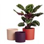Pot de fleur - Elho - Lex Pott - Set 14 - Rouge Rose Violet - L 14 x B 13.8 x H 12 cm - Intérieur - 100% recyclé