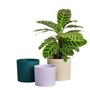 Pot de fleur - Elho - Lex Pott - Set 14 - Blanc Vert Violet - L 14 x B 13.8 x H 12 cm - Intérieur - 100% recyclé