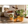 Pot de fleur - Elho - Jazz Rond - Jaune - L 35 x B 34.5 x H 32 cm - Intérieur - 100% recyclé