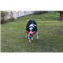 Chuckit TRI BUMPER Medium Boomerang Choose to Tug Toss or Bounce - Pack of 3