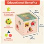 B. Toys - Wonder Cube - Jouet de développement en Bois - trieur de Formes - 9 Formes colorées - Jouet éducatif pour Les Tout-Pet
