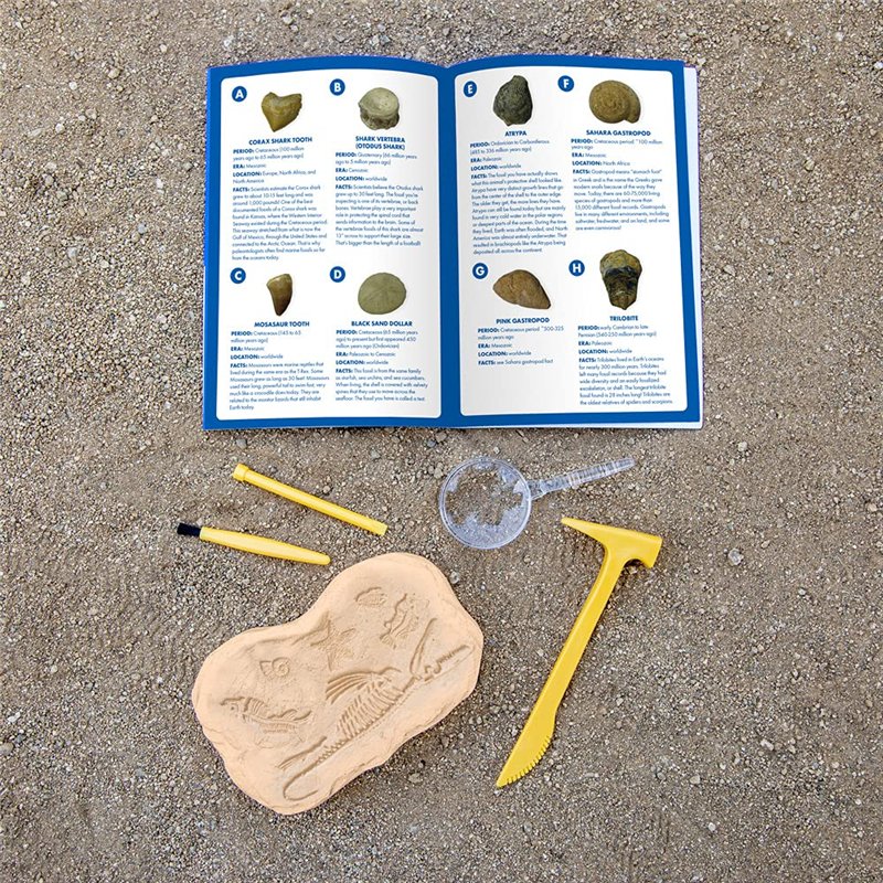 Image secondaire de Learning Resources Kit d’excavation de fossiles GeoSafari, M