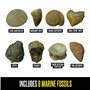 Learning Resources Kit d’excavation de fossiles GeoSafari, M