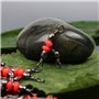 VORCOOL 100 Pcs 3 Way émerillons Rolling T pivotant Leurre T-Turn 3 Voies pivotant Articles de Pêche Accessoires (Rouge)
