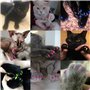 200 pièces Chats Couvre-Ongles Protection des Griffes pour Chien de Chat, Griffes Douces colorées Chapeaux d'ongles de Chaton Ca