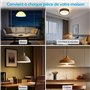 LoraTap Lot de ２ Interrupteur WiFi Alexa Sans Fil, MINI TAILLE, Récepteur 2500W 10A, Commutateur Connecté Intelligent, Commande 