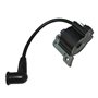 Générique Bobine Allumage Module Pour SL 750 SLP 600 Taille-haie 1E32F moteur Partie