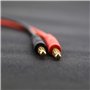 be in your mind 2pcs Câble de Chargeur Banane T-Plug à 4mm Compatible pour Chargement de Batterie RC Lipo - 12 Pouces (14AWG)