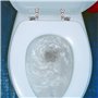 Charniere Abattant WC, Kit Fixations Remplacement pour WC Abattant, Charnière WC Fixations, pour Sièges de Toilette en Résine de