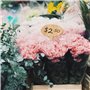 SAVITA 10x6cm 30pcs Étiquettes De Plantes en Bois Étiquettes De Jardin Ovales pour Plante en Pot Graines Fleurs Herbes Légumes