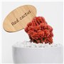 SAVITA 10x6cm 30pcs Étiquettes De Plantes en Bois Étiquettes De Jardin Ovales pour Plante en Pot Graines Fleurs Herbes Légumes