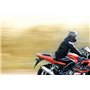 JET Blouson moto imperméable avec armure veste moto multi fonctionnel textile (Noir, XL (EU 52-54))