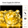 WALCHO Guirlande lumineuse alimentée par USB, 120 LED 12m/39FT avec guirlandes lumineuses étanches pour chambre à coucher Jardin