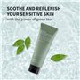 BENTON Nettoyant pour le Visage au Thé Vert 120g (4.23 oz.) - Nettoyant pour le Visage Doux et Hydratant pour Différents Types d