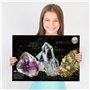 Dr. Daz Sicence Cristaux Jeux Enfant Kit Découverte Scientifique 12 Pierres Precieuses Et Minéraux