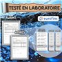 BAYTIZ ® Filtre à Eau Végétal au Charbon Actif - Baton de Binchotan Bio x5 - Purifier l' Eau du Robinet - en Bois Naturel - Cara
