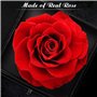 MONODEAL cadeau fete des meres,Cadeau femme, Rose Eternelle Cadeau Anniversaire Fête des mères Mariage pour Femme Maman, Anniver