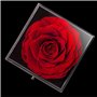 MONODEAL cadeau fete des meres,Cadeau femme, Rose Eternelle Cadeau Anniversaire Fête des mères Mariage pour Femme Maman, Anniver