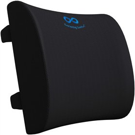 Everlasting Comfort Coussin Lombaire – Coussin Dos pour Voiture