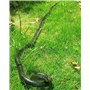 Accessoires de Jardin