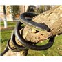 Supkeyer 130 cm - Faux Serpent en Caoutchouc réaliste, Accessoires de Jardin, kit de Farce et Attrape, Jouet éducatif