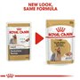 Royal Canin Nourriture pour Chien Mini Yorkshire 85 g - Lot de 12