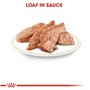 Royal Canin Nourriture pour Chien Mini Yorkshire 85 g - Lot de 12