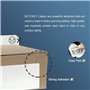 BETCKEY - 10 DK-22205 Rouleau de Papier Continu Compatible avec Brother, 62mm x 30.48m, 10 Étiquettes pour Imprimantes d'Étiquet