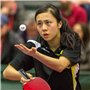 Set de 2 Raquettes de ping-Pong Professionnelles pour débutants et Pros, avec 2 Raquettes + 3 balles pour l’extérieur, idéales p